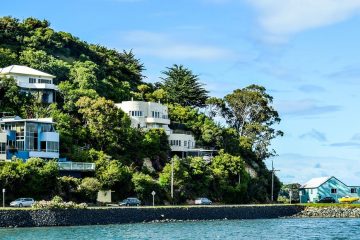 dunedin nz beach